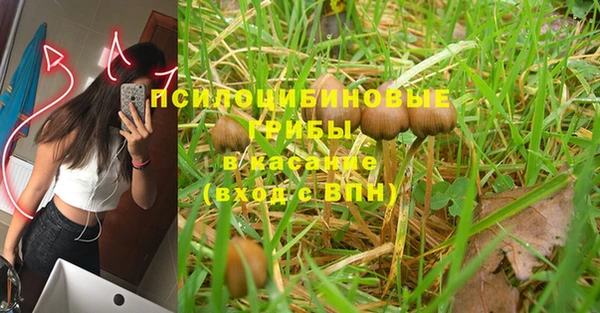 прущий лед Алзамай