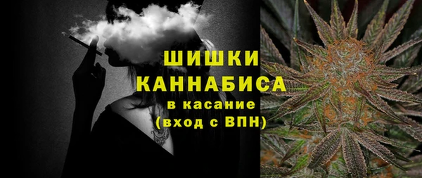шишки Лабытнанги