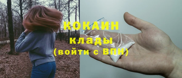 прущий лед Алзамай