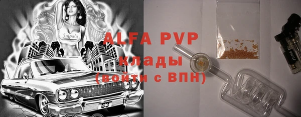 сатива Абаза